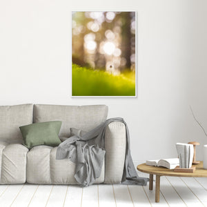 Liten i det stora - CANVAS