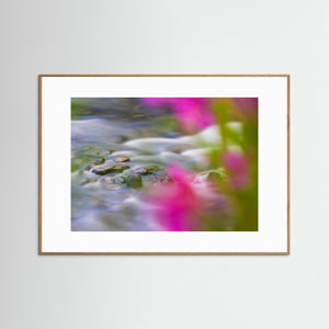 Ljusnan i sommarfärger – Bruksvallarna, Härjedalen | Fine Art Print