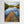 Stillhet i Svartedalen - CANVAS