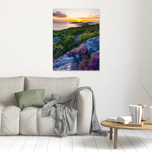 Halland – Särö Västerskog i solnedgång | Canvas
