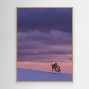 Ensamt träd i vinterfjäll – Grövelsjöfjällen i Dalarna | Canvas