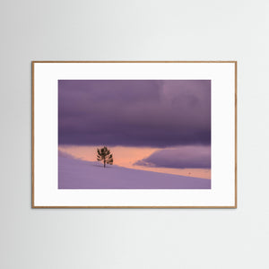 Vinterlandskap vid Långfjället – Grövelsjöfjällen | Fine Art Print