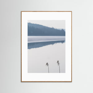 Minimalistiskt landskap vid Västra Ingsjön – Naturfoto | Fine Art Print
