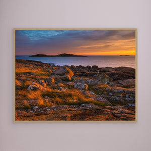 Sommarkväll vid Årnäsudden - CANVAS