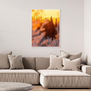 Lofsdalen – Gyllene morgonljus i Lofsdalsfjällen | Canvas