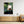 Skogens små världar – Ramberget, Hisingen | Canvas