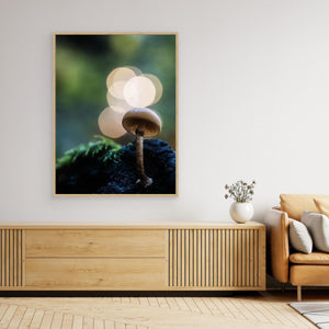 Skogens små världar – Ramberget, Hisingen | Canvas