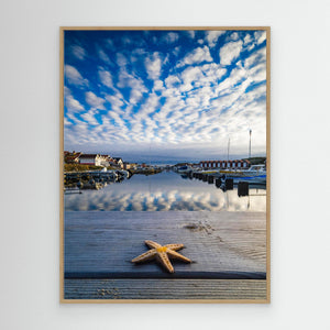 Sjöstjärna vid Fotö hamn – Göteborgs skärgård | CANVAS