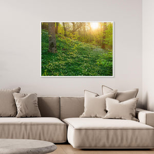 Vitsippor i Hördalen naturreservat – Vår i Kungsbacka | Canvas