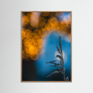 Vass & Ljus – Råda Säteri | Fine Art Print