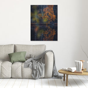 Höst vid Trinde mosse – Änggårdsbergen Göteborg | Canvas