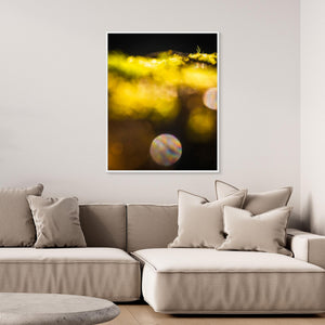 Vårbokeh i Särö Västerskog – Särö, Kungsbacka kommun | Canvas