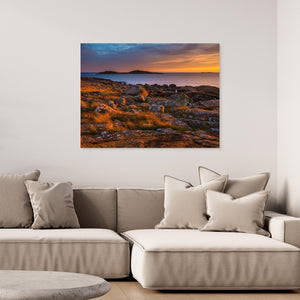 Sommarkväll vid Årnäsudden - CANVAS