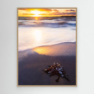 Solnedgång vid Stråvalla strand i Halland – hav och kust | Canvas
