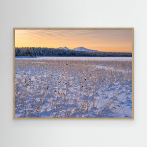 Vinter vid Drevsjøen – Rendalssølen i bakgrunden | Canvas