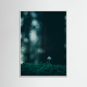Liten svamp i mossan – Herkulesskogen i Mölndal | Fine Art Print