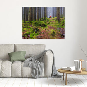 Dimmig Skog Mölndal – Herkulesskogen | Canvas