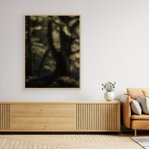Bokskog i morgonljus – Gäddevik naturreservat | Canvas