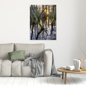 Solnedgång i Särö Västerskog – Kungsbacka | Canvas