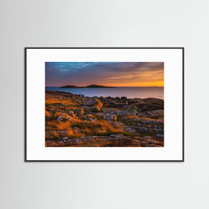 Sommarkväll vid Årnäsudden