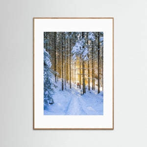 Vintervandring vid Helsjön – Marks kommun | Fine Art Print