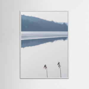 Minimalistiskt landskap vid Västra Ingsjön – Naturfoto | Fine Art Print