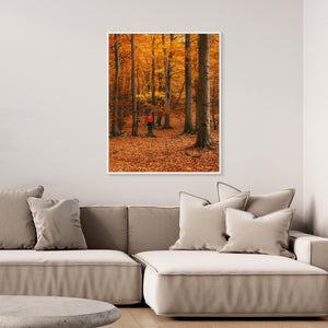 Höstfärger i bokskog – Svejserdalen Mölndal | Canvas