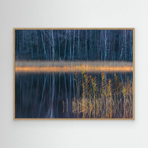 Vass i stillhet – Rådasjön, Härryda | Canvas