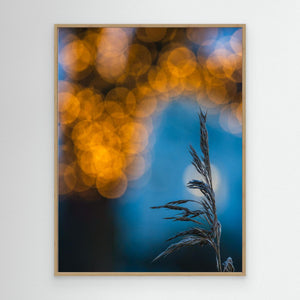 Vass & Ljus – Råda Säteri | Canvas