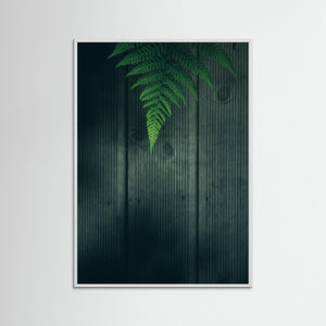 Ormbunke i Rya skog – Göteborg