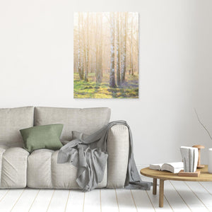 Björkskog i morgonljus – Ellesbo Hisingen | Canvas