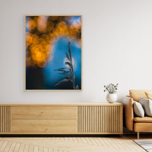 Vass & Ljus – Råda Säteri | Canvas