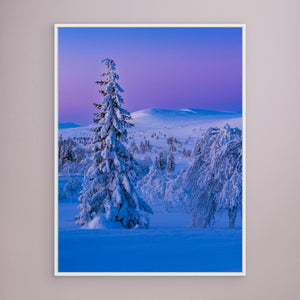 Vintervidder i Dalarna - CANVAS