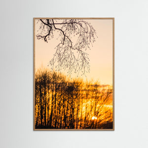 Solnedgång i Landvetter – siluetter och kvällsljus | Fine Art Print