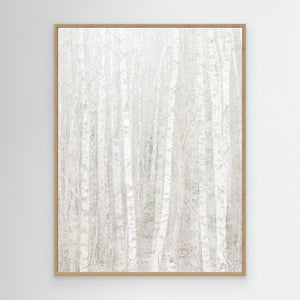 Änggårdsbergen i stillhet – Björkar i dubbelexponering | Canvas