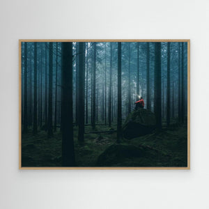 Ett ljus i Herkulesskogen - CANVAS