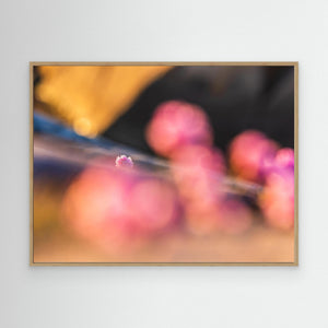 Blommande trift – Stora Amundön naturreservat, Göteborg | Canvas