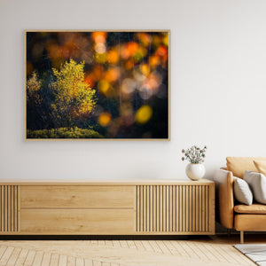 Gyllene ögonblick i Änggårdsbergen - CANVAS