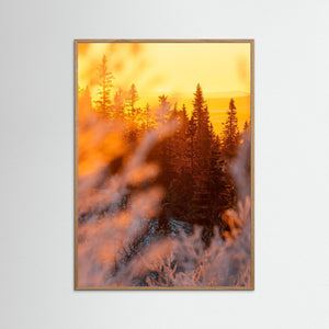 Lofsdalen – Gyllene morgonljus i Lofsdalsfjällen | Fine Art Print