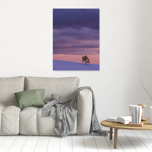 Ensamt träd i vinterfjäll – Grövelsjöfjällen i Dalarna | Canvas