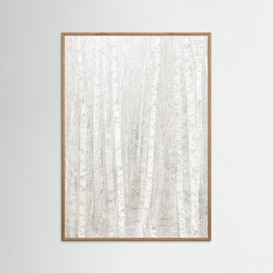 Änggårdsbergen i stillhet – Björkar i dubbelexponering | Fine Art Print