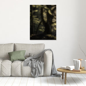 Bokskog i morgonljus – Gäddevik naturreservat | Canvas