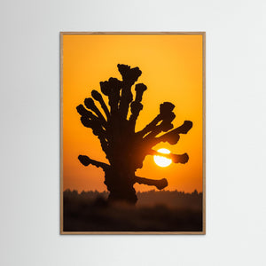 Soluppgång vid Stensjön – Hamlade lindar i Mölndal | Fine Art Print