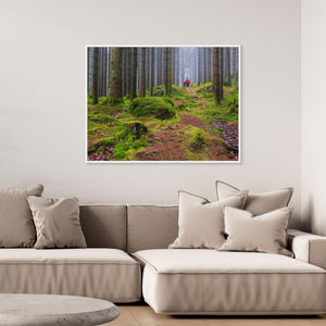 Dimmig Skog Mölndal – Herkulesskogen | Canvas