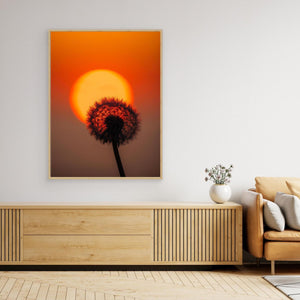 Danmark – Maskros i solnedgång vid Hirtshals | Canvas