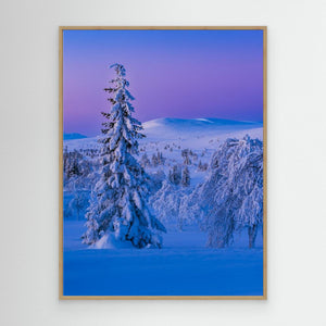 Vintervidder i Dalarna - CANVAS