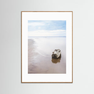 Trästock vid Vesslunda naturreservat