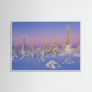 Vintermorgon i Lofsdalsfjällen – snöklädda fjällbjörkar | Fine Art Print