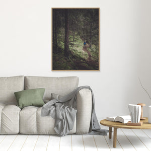 Stillhet i Bråtaskogen - CANVAS