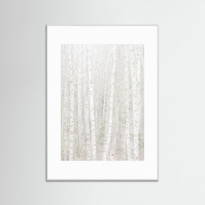 Änggårdsbergen i stillhet – Björkar i dubbelexponering | Fine Art Print